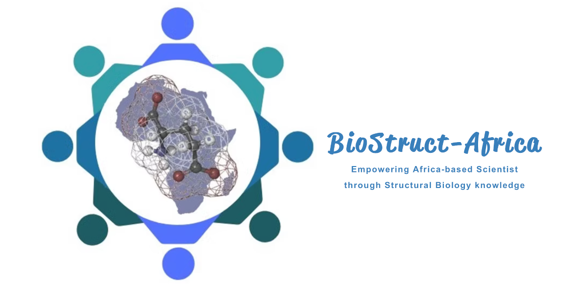 Since 2017, the NGO Biostruct-Africa is working to develop structural biology in Africa through workshops for knowledge transfer and mentoring