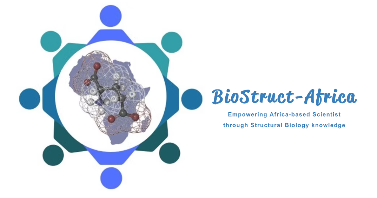 Since 2017, the NGO Biostruct-Africa is working to develop structural biology in Africa through workshops for knowledge transfer and mentoring